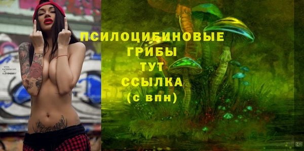 синтетический гашиш Алексеевка
