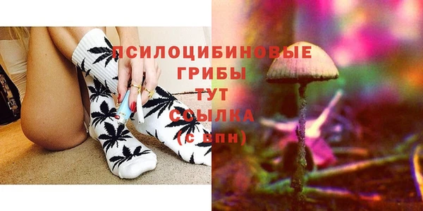 твердый Алзамай